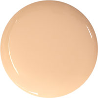 DIGITAL COMPLEXION FLUID FOUNDATION Y 24